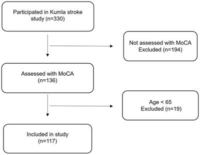 Investigating cognitive impairment, biopsychosocial barriers, and predictors of return to daily life among older stroke survivors